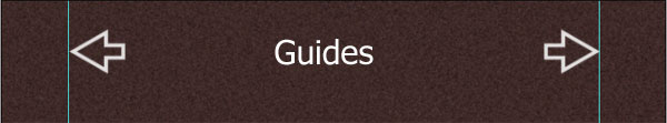 step8-view-of-guides